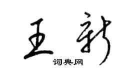 梁锦英王新草书个性签名怎么写