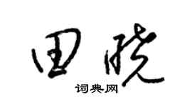 梁锦英田晓草书个性签名怎么写