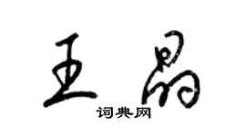 梁锦英王晶草书个性签名怎么写