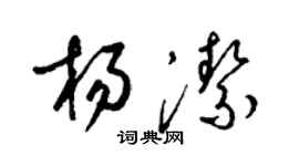 梁锦英杨洁草书个性签名怎么写