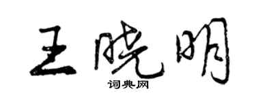 曾庆福王晓明行书个性签名怎么写