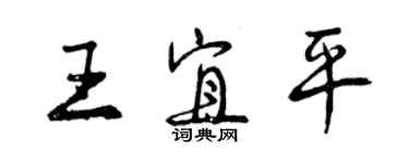曾庆福王宜平行书个性签名怎么写