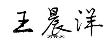 曾庆福王晨洋行书个性签名怎么写