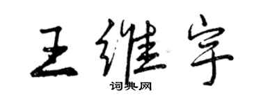 曾庆福王维宇行书个性签名怎么写