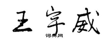 曾庆福王宇威行书个性签名怎么写