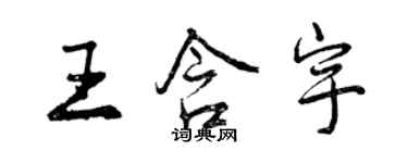 曾庆福王含宇行书个性签名怎么写