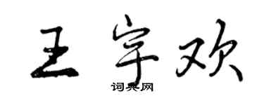 曾庆福王宇欢行书个性签名怎么写