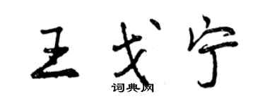 曾庆福王戈宁行书个性签名怎么写