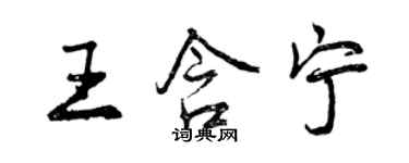 曾庆福王含宁行书个性签名怎么写