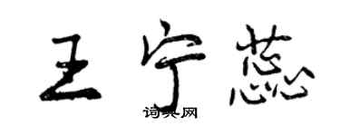 曾庆福王宁蕊行书个性签名怎么写