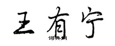 曾庆福王有宁行书个性签名怎么写