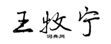 曾庆福王牧宁行书个性签名怎么写