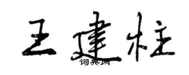 曾庆福王建柱行书个性签名怎么写