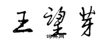 曾庆福王望芽行书个性签名怎么写