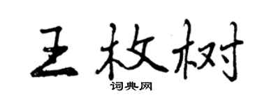 曾庆福王枚树行书个性签名怎么写