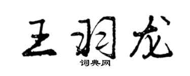 曾庆福王羽龙行书个性签名怎么写