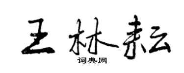 曾庆福王林耘行书个性签名怎么写