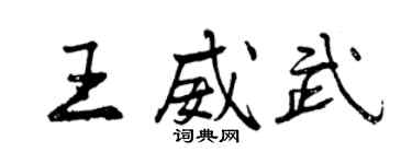 曾庆福王威武行书个性签名怎么写