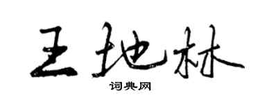曾庆福王地林行书个性签名怎么写