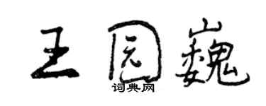 曾庆福王园巍行书个性签名怎么写