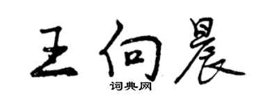 曾庆福王向晨行书个性签名怎么写