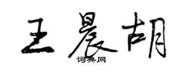 曾庆福王晨胡行书个性签名怎么写