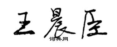 曾庆福王晨臣行书个性签名怎么写