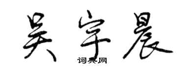 曾庆福吴宇晨行书个性签名怎么写