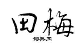 曾庆福田梅行书个性签名怎么写