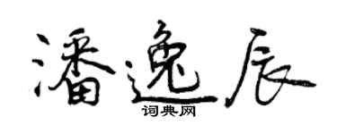 曾庆福潘逸辰行书个性签名怎么写