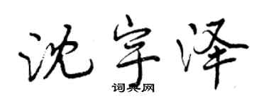 曾庆福沈宇泽行书个性签名怎么写