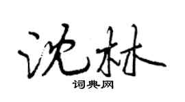 曾庆福沈林行书个性签名怎么写