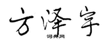 曾庆福方泽宇行书个性签名怎么写