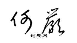 梁锦英何严草书个性签名怎么写