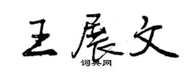 曾庆福王展文行书个性签名怎么写