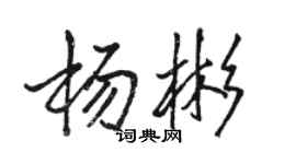 骆恒光杨彬行书个性签名怎么写