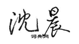 骆恒光沈晨行书个性签名怎么写