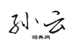 骆恒光孙云行书个性签名怎么写
