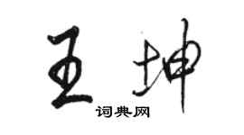 骆恒光王坤行书个性签名怎么写