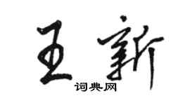 骆恒光王新行书个性签名怎么写