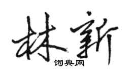 骆恒光林新行书个性签名怎么写