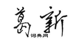 骆恒光葛新行书个性签名怎么写