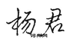 骆恒光杨君行书个性签名怎么写