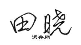 骆恒光田晓行书个性签名怎么写