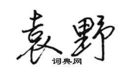 骆恒光袁野行书个性签名怎么写