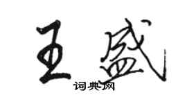 骆恒光王盛行书个性签名怎么写