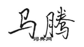 骆恒光马腾行书个性签名怎么写