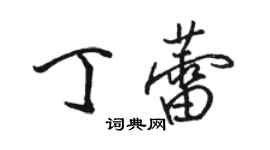 骆恒光丁蕾行书个性签名怎么写