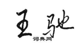 骆恒光王驰行书个性签名怎么写