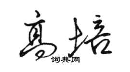 骆恒光高培行书个性签名怎么写